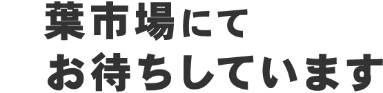 千葉市場にて