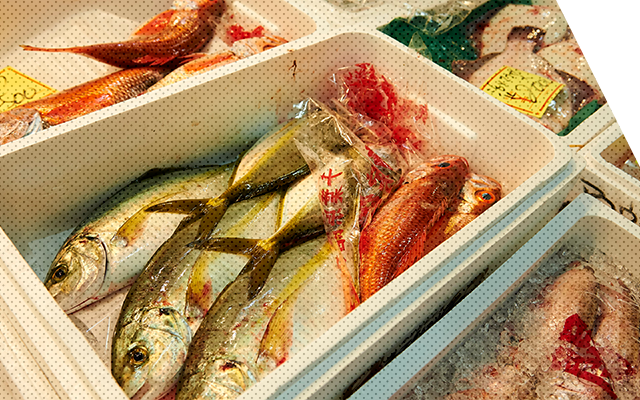 魚箱入り