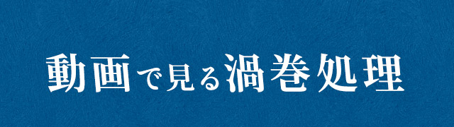 動画で見る渦巻処理